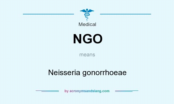What does NGO mean? It stands for Neisseria gonorrhoeae