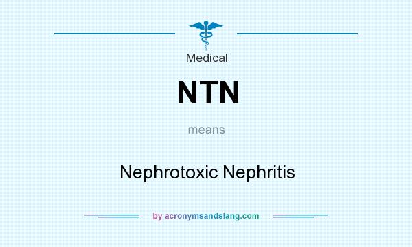 What does NTN mean? It stands for Nephrotoxic Nephritis