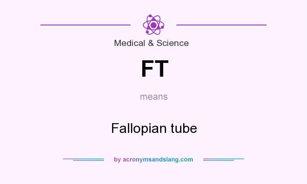 What does FT mean? It stands for Fallopian tube