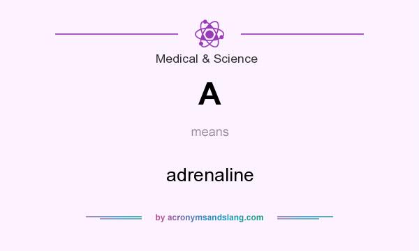 What does A mean? It stands for adrenaline