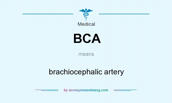 What does BCA mean? It stands for brachiocephalic artery