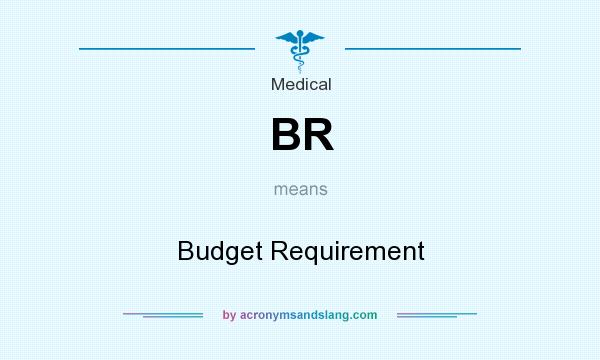 What does BR mean? It stands for Budget Requirement