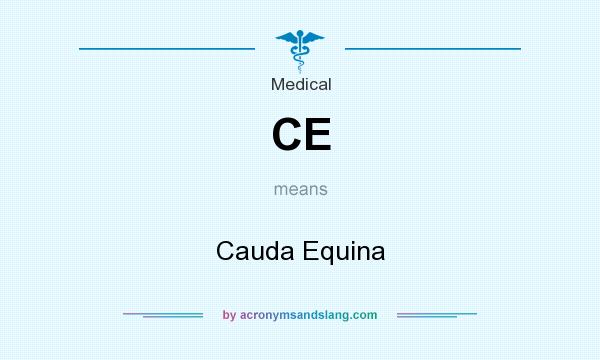 What does CE mean? It stands for Cauda Equina