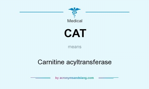 What does CAT mean? It stands for Carnitine acyltransferase
