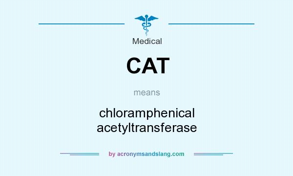 What does CAT mean? It stands for chloramphenical acetyltransferase