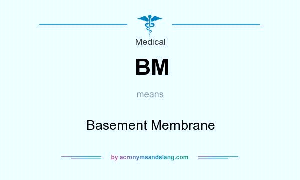 What does BM mean? It stands for Basement Membrane