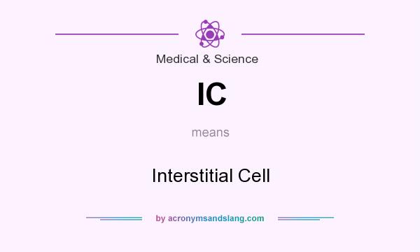 What does IC mean? It stands for Interstitial Cell