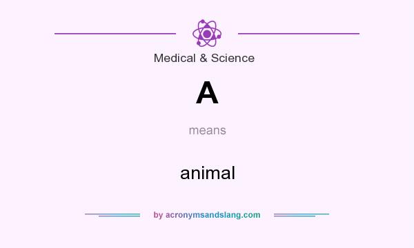 What does A mean? It stands for animal