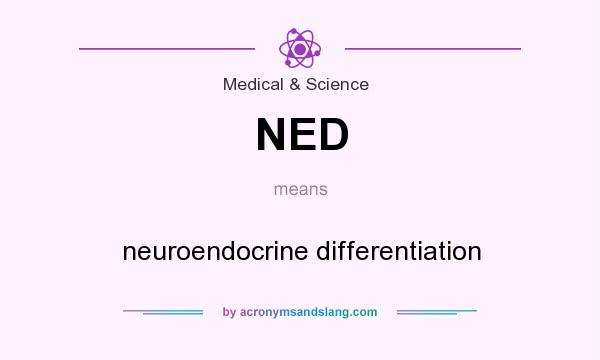 What does NED mean? It stands for neuroendocrine differentiation