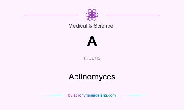 What does A mean? It stands for Actinomyces