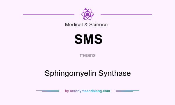 What does SMS mean? It stands for Sphingomyelin Synthase