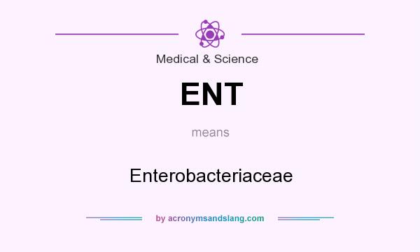 What does ENT mean? It stands for Enterobacteriaceae