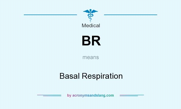 What does BR mean? It stands for Basal Respiration