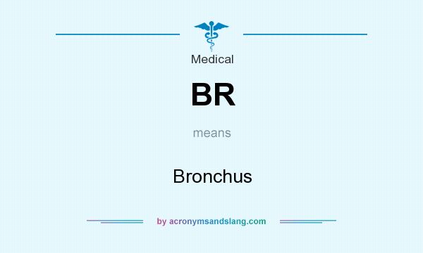 What does BR mean? It stands for Bronchus