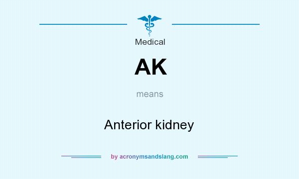 What does AK mean? It stands for Anterior kidney