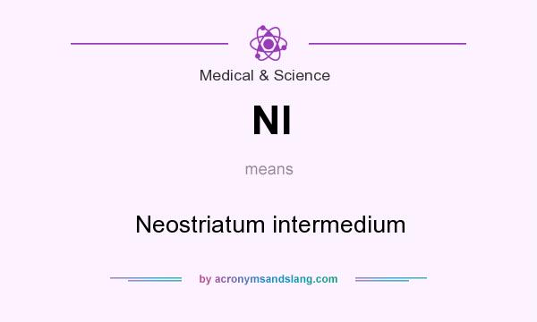 What does NI mean? It stands for Neostriatum intermedium