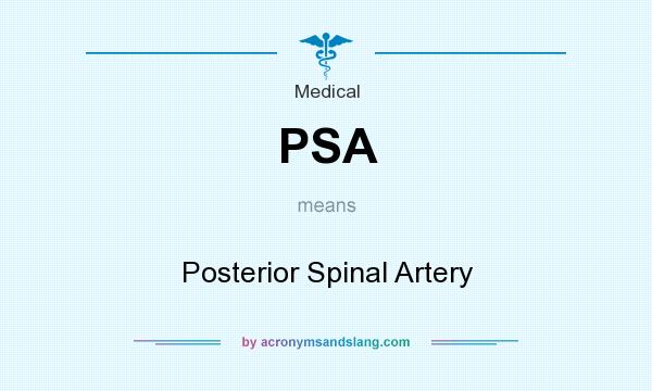 What does PSA mean? It stands for Posterior Spinal Artery