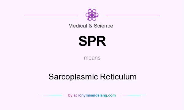 What does SPR mean? It stands for Sarcoplasmic Reticulum