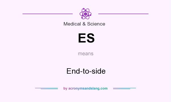 What does ES mean? It stands for End-to-side