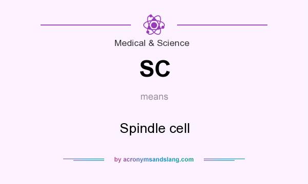 What does SC mean? It stands for Spindle cell
