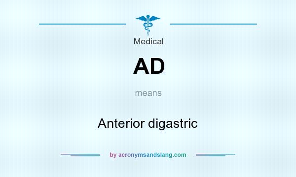 What does AD mean? It stands for Anterior digastric