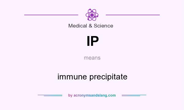 What does IP mean? It stands for immune precipitate