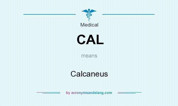 What does CAL mean? It stands for Calcaneus