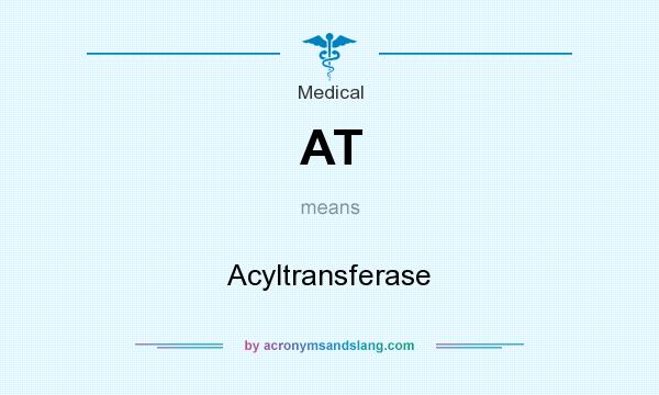 What does AT mean? It stands for Acyltransferase