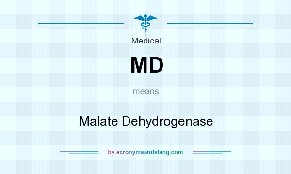 What does MD mean? It stands for Malate Dehydrogenase