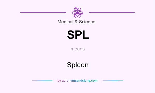 What does SPL mean? It stands for Spleen