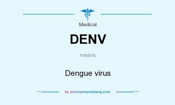 What does DENV mean? It stands for Dengue virus