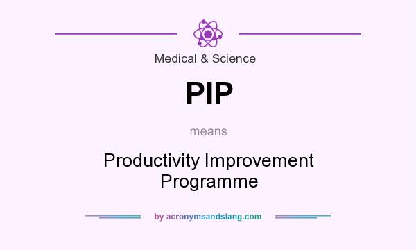 What does PIP mean? It stands for Productivity Improvement Programme
