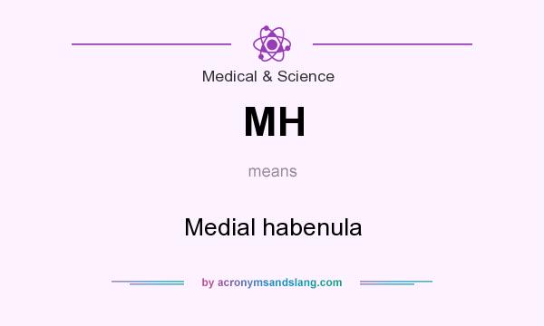 What does MH mean? It stands for Medial habenula