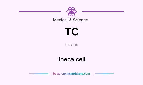 What does TC mean? It stands for theca cell