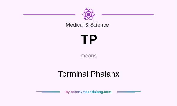 What does TP mean? It stands for Terminal Phalanx