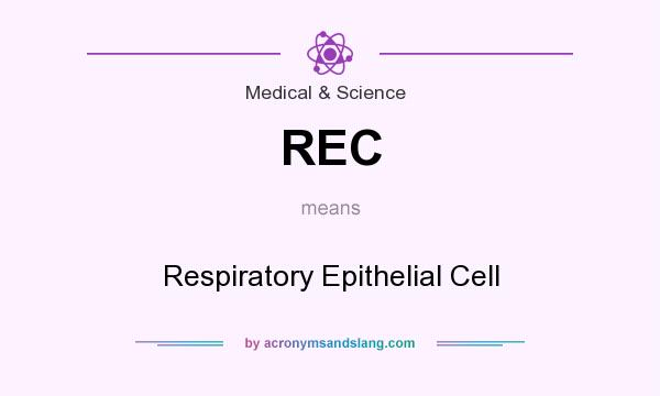 What does REC mean? It stands for Respiratory Epithelial Cell