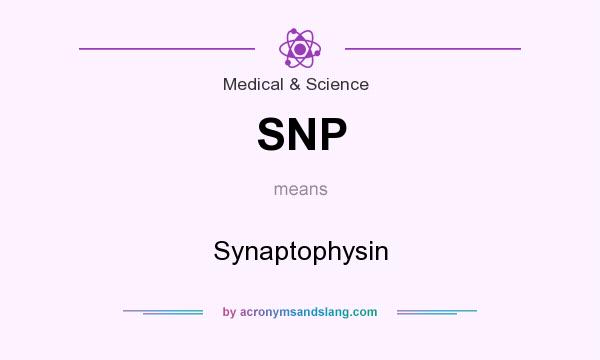 What does SNP mean? It stands for Synaptophysin