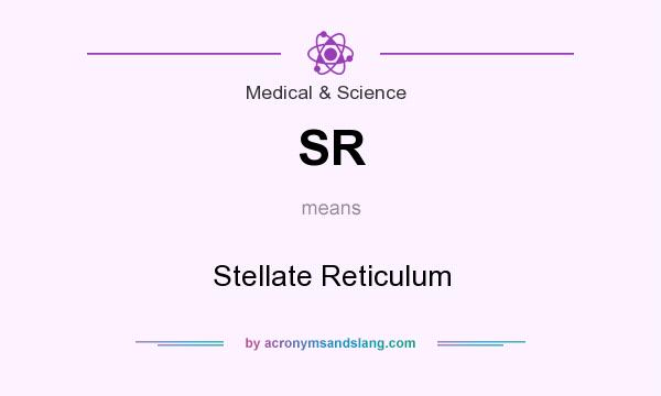 What does SR mean? It stands for Stellate Reticulum