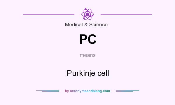 What does PC mean? It stands for Purkinje cell