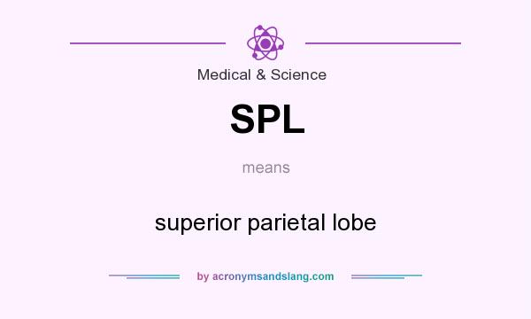 What does SPL mean? It stands for superior parietal lobe