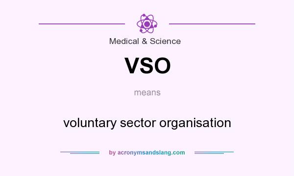 What does VSO mean? It stands for voluntary sector organisation