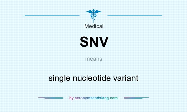 What does SNV mean? It stands for single nucleotide variant