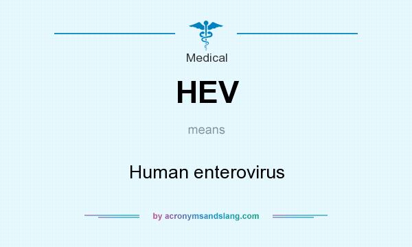 What does HEV mean? It stands for Human enterovirus