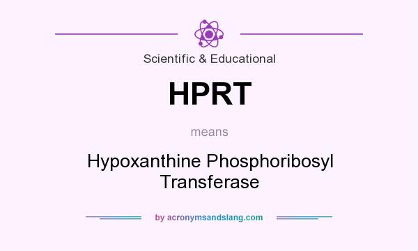 What does HPRT mean? It stands for Hypoxanthine Phosphoribosyl Transferase