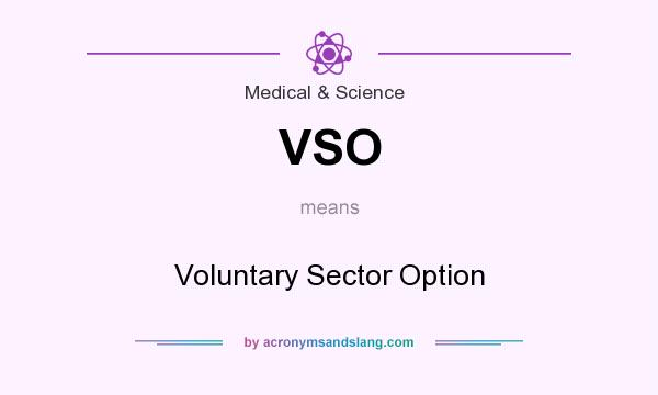What does VSO mean? It stands for Voluntary Sector Option
