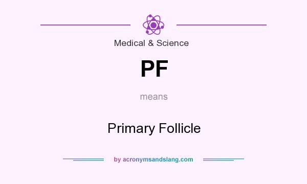 What does PF mean? It stands for Primary Follicle