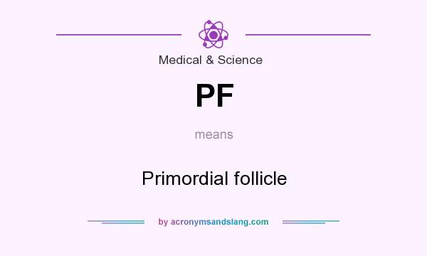 What does PF mean? It stands for Primordial follicle