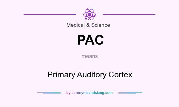 What does PAC mean? It stands for Primary Auditory Cortex