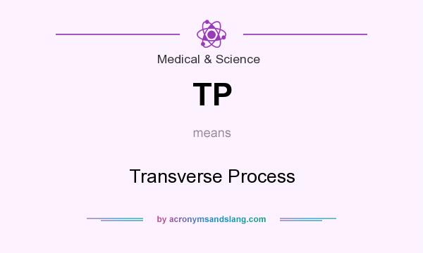 What does TP mean? It stands for Transverse Process