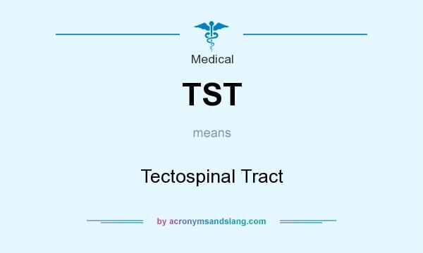What does TST mean? It stands for Tectospinal Tract